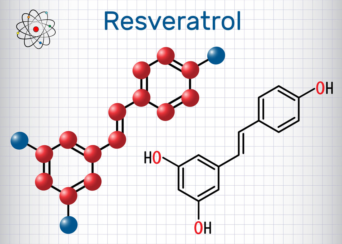 The Astonishing Resveratrol Benefits for Skin Health
