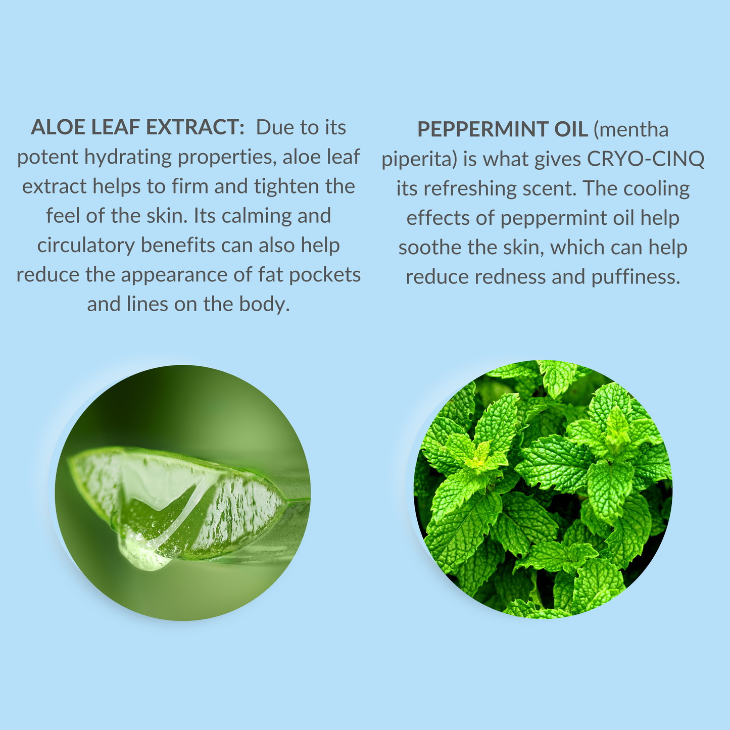 Phyto Pumpkin Face + Body Scrub + Cryo Cinq