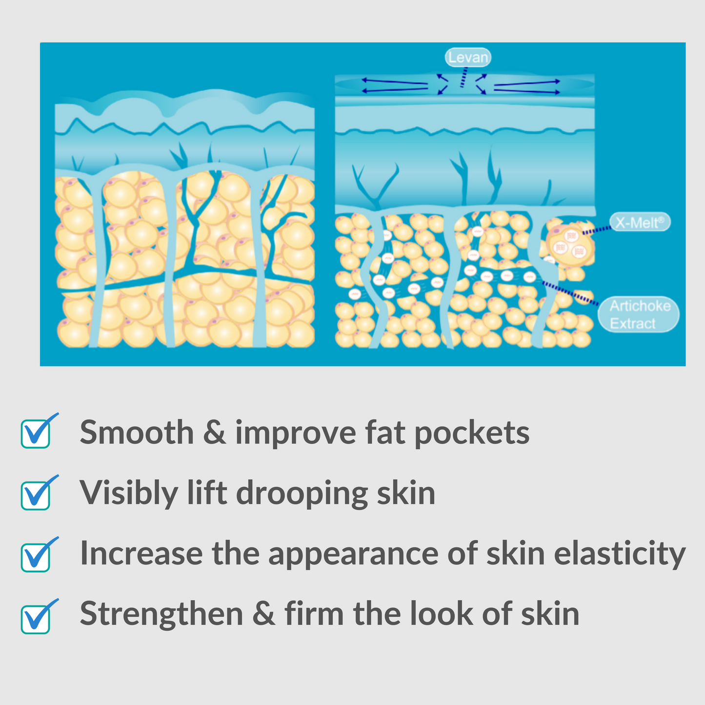 Phyto Pumpkin Face + Body Scrub + Cryo Cinq